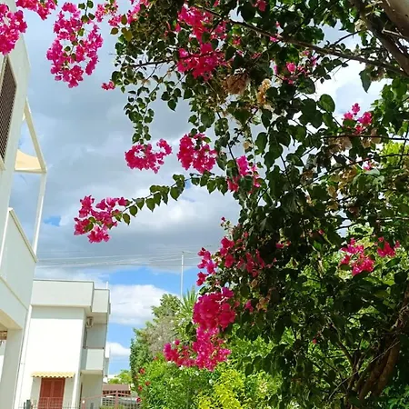 Apartamento Marea