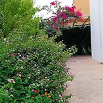 Marea Διαμέρισμα *