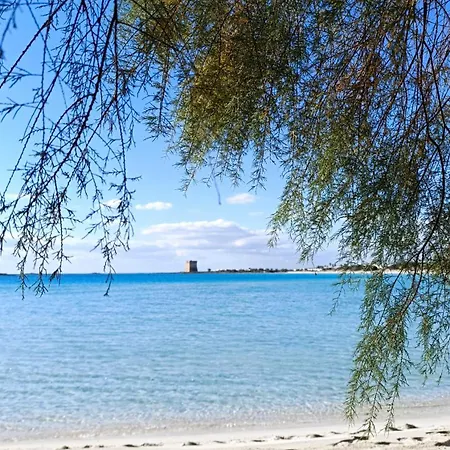 Apartment Marea Porto Cesareo