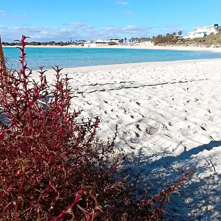 Marea * Porto Cesareo