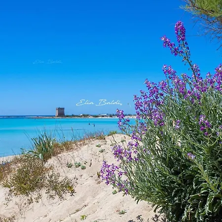 Marea * Porto Cesareo