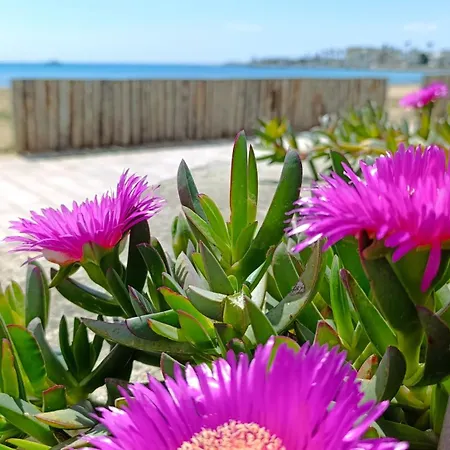 Marea Appartement Porto Cesareo